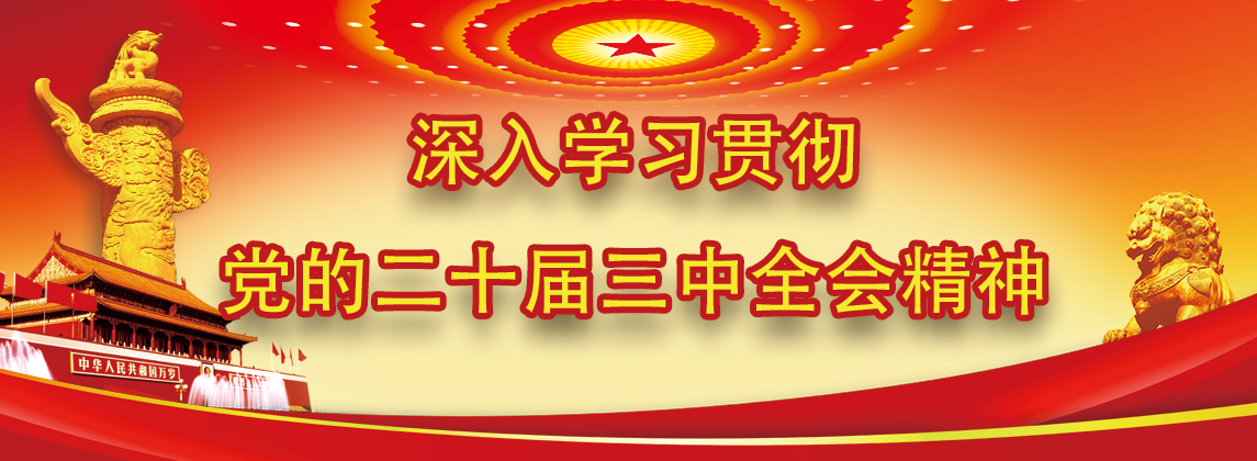 深入学习贯彻党的二十届三中全会...